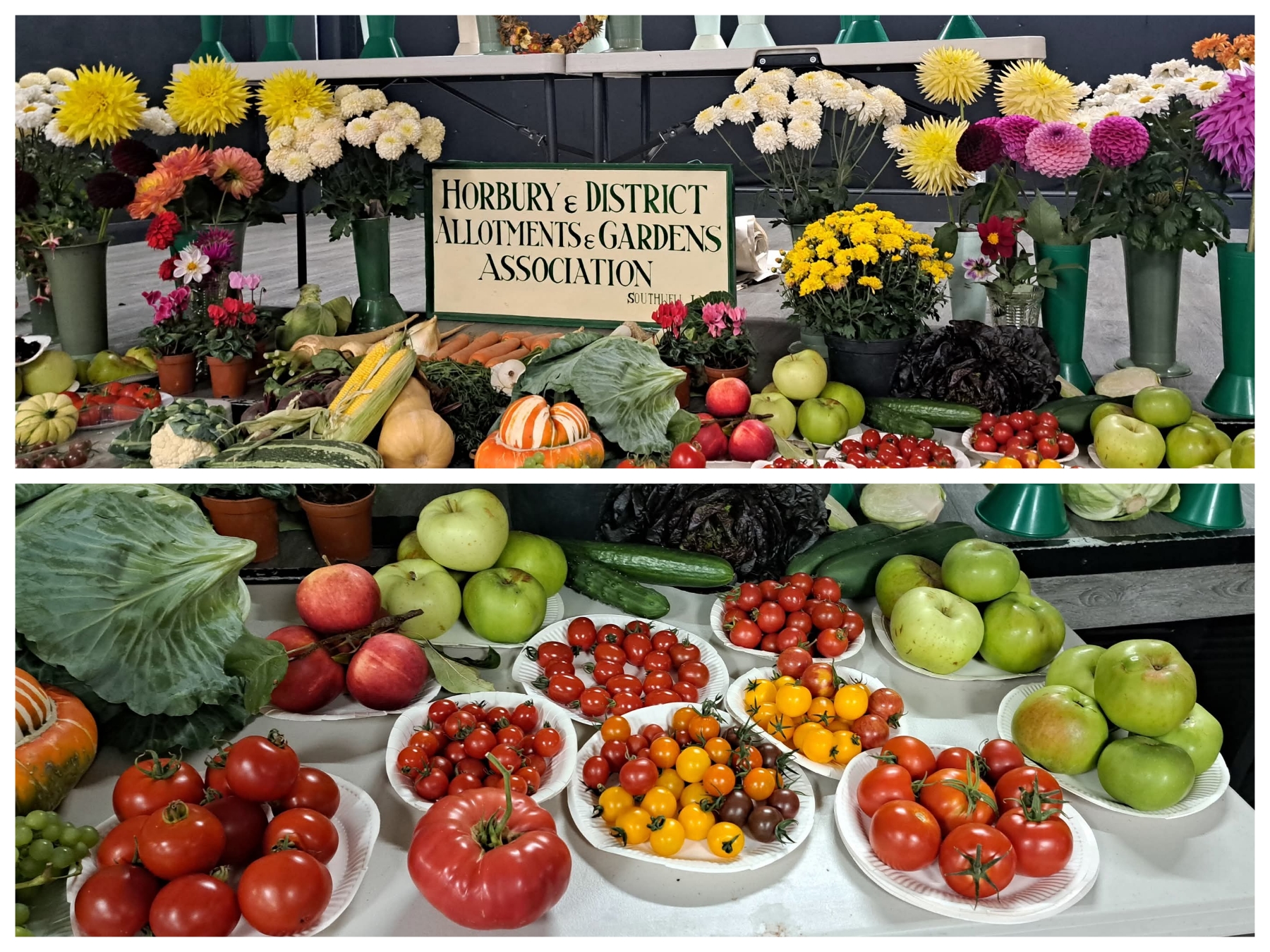 Harvest contributions Harvest contributions